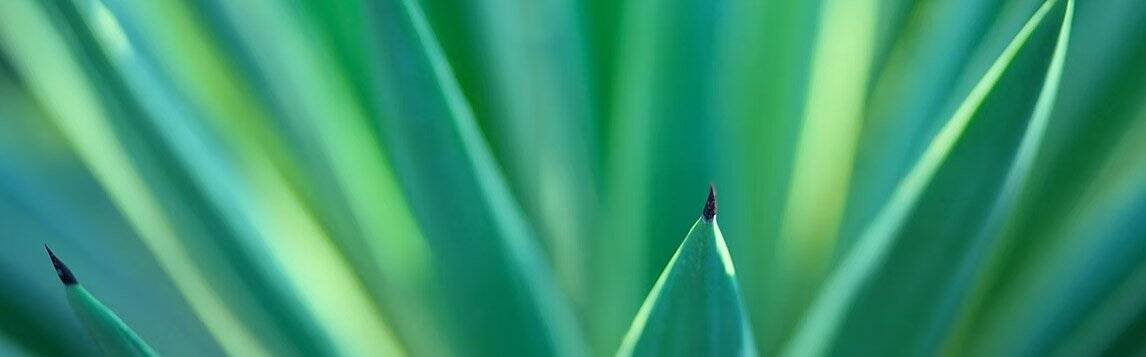 Pack équilibre 1 Prisme de réflexion bootcamp coaching en développement personnel et motivation.